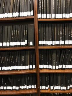 photo of library thesis collection