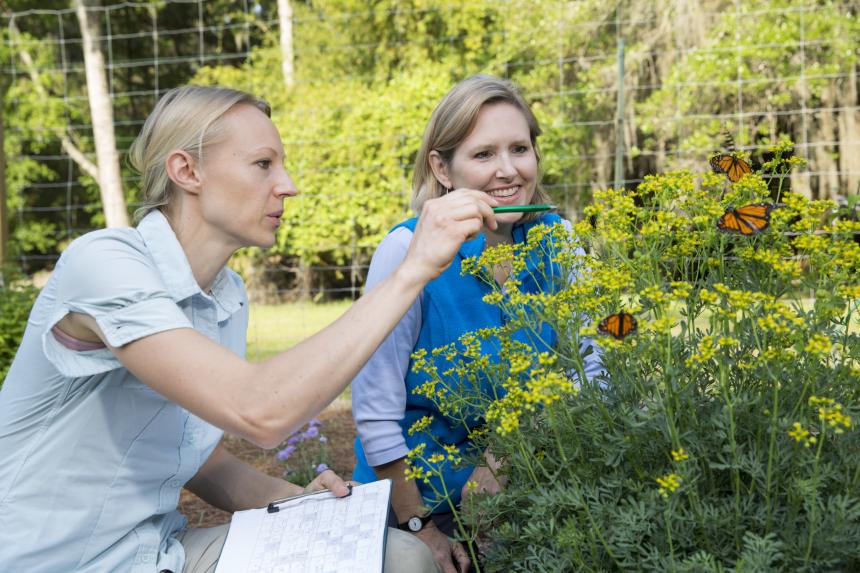 photo of two women and butterflies at historic coastal Georgia site