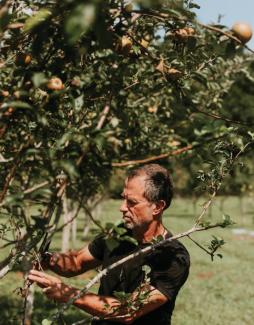 photo of Stephen Mihm and apple trees by Growl