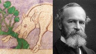 portraits of early medieval pig and William James