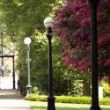 photo of North campus with UGA arch