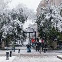 photo of the UGA arches in the snow